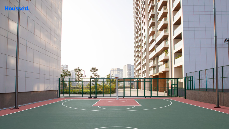 158_1678021142_pt---basketball-court.jpg